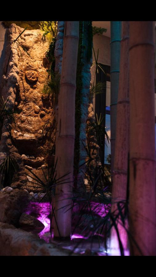 B&B Villa Sensorielle ニース エクステリア 写真