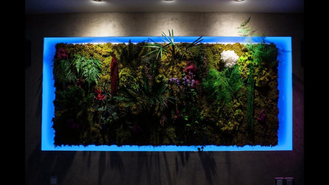 B&B Villa Sensorielle ニース エクステリア 写真